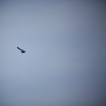 IMG_6177.jpg