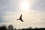 2013 12 31 Sylvester FPV 039.JPG
