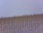 20150815_0002.jpg